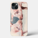 Search for piglet cases Pigs