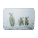 Search for bear bath mats Animals in the wild