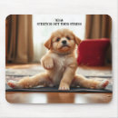 Search for stretch electronics Dog
