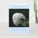 Search for sacrament of confirmation cards Blessings