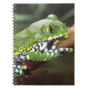 Search for amphibian notebooks Green