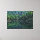 Search for tree reflection canvas prints Trees