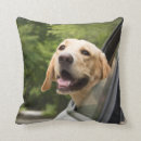 Search for labrador cushions Cute