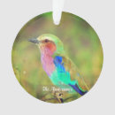Search for multicolored christmas tree decorations Cute