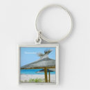 Search for canary accessories Canaries