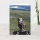 Search for carnivore cards Arctic
