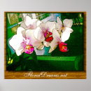 Search for orchid posters Colourful