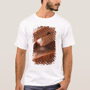 Search for studio shot tshirts Close up