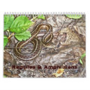 Search for reptile calendars Wildlife