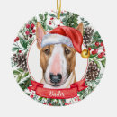 Search for bull terrier christmas tree decorations Watercolor