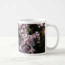 Search for fragrant mugs Floral