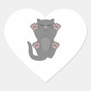 Search for sleeping cat stickers Kawaii