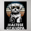 Search for funny dog signs Adorable