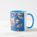Search for on a tree mugs Photograph