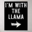 Search for funny llama posters Photography