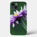 Search for archer ipad cases Mount rainier
