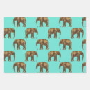 Search for elephant wrapping paper Stylish