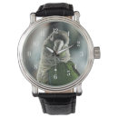 Search for conure accessories Avian