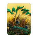 Search for peacock rectangular magnets Bird