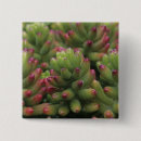 Search for arizona desert badges Tucson