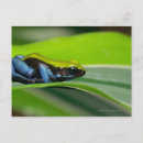 Search for toad postcards Close up