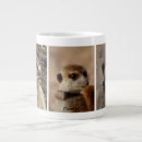 Search for kalahari mugs Meerkat