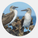 Search for galapagos islands stickers Ecuador