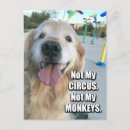 Search for dog quotes postcards Golden retriever