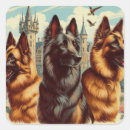 Search for belgian square stickers Dogs