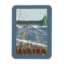 Search for wrangell magnets States
