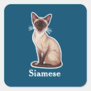 Search for siamese stickers Animal