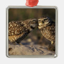 Search for fort christmas tree decorations Nature