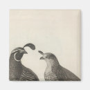Search for partridge magnets Illustration