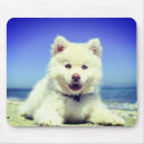 Search for fluffy white mouse mats Puppies