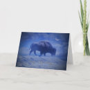 Search for native bison buffalo postcards Wildlife