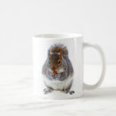 Search for cute squirrel pictures mugs Adorable