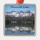 Search for reflection christmas tree decorations California