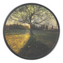 Search for fireflies Tree