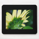 Search for lady bug mouse mats Nature