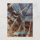 Search for natural history museum postcards Dinosaur