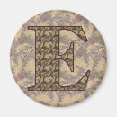 Search for initial e magnets Letter