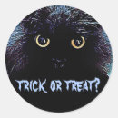 Search for magic trick stickers Black cat
