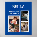 Search for pet supplies Memories