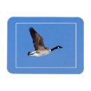 Search for bird flight magnets Waterfowl