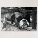 Search for boxer dog puzzles Canine