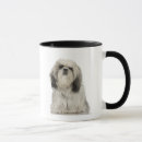 Search for tibetan terrier gifts Canine