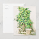Search for vintage botanical print postcards Cottagecore