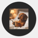 Search for funny dachshund stickers Coffee
