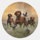 Search for hungarian vizsla stickers Hunting
