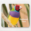 Search for parakeet electronics Animal